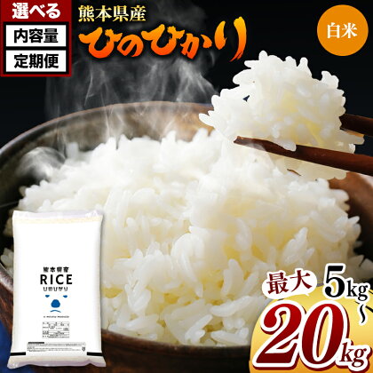 令和5年産 ひのひかり 熊本県産 白米 5kg 10kg 15kg 20kg 定期便 3回 6回 12回 米 | 特A 米 ご飯 単一米 こめ 小分け 定期 銘柄米 人気 選べる