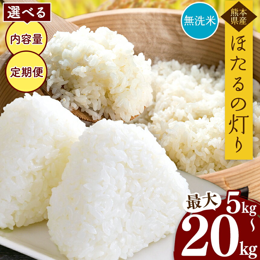 【ふるさと納税】 令和5年産 熊本県産 ほたるの灯り 無洗米 乾式無洗米 5kg 10kg 15kg 20kg 定期便 3...