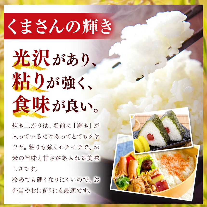 【ふるさと納税】 令和5年産 熊本県産 くまさんの輝き 無洗米 乾式無洗米 5kg 10kg 15kg 20kg 定期便 3回 6回 12回 米