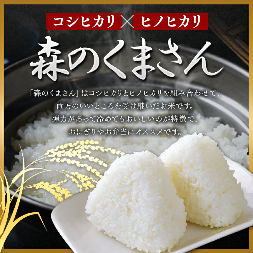 【ふるさと納税】 令和5年産 熊本県産 森のくまさん 白米 5kg 10kg 15kg 20kg 定期便 3回 6回 12回 米