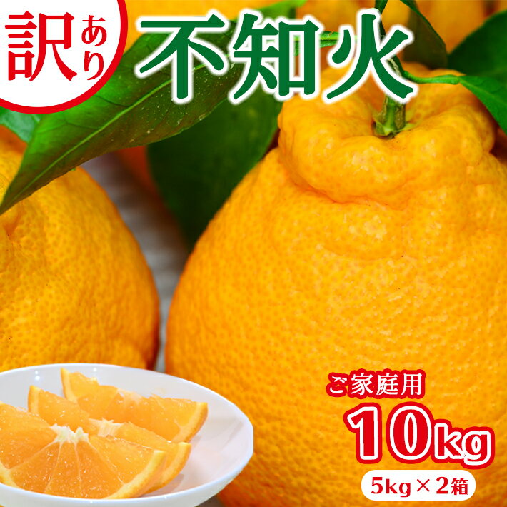 【ふるさと納税】【訳あり】ご家庭用 不知火 10kg（5kg×2箱） 熊本県 柑橘 フルーツ 送料無料