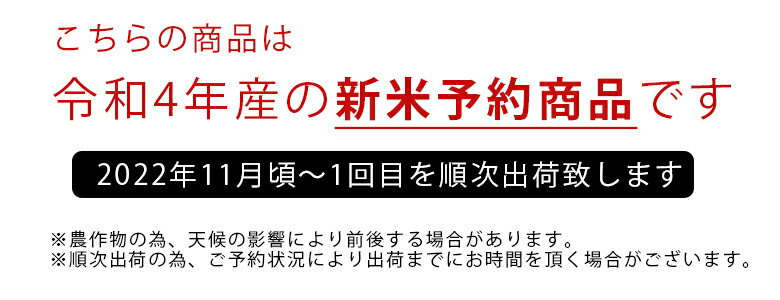 【ふるさと納税】【 定期便12回 】令和4年産 新米 くまもと米 無洗米 選べる3品 南関郷ヒノヒカリ5kg 森のくまさん10kg 訳あり米 15kg 選択 熊本県産 単一原料 訳あり 家庭用 ブレンド米 複数原料米 1年 ひのひかり お好み 食品ロス 削減 ワケあり品 毎月 お届け 最大 180kg