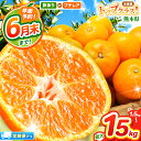 【ふるさと納税】 楽天限定 訳あり みかん 早楽予約 温州 みかん |...(4)