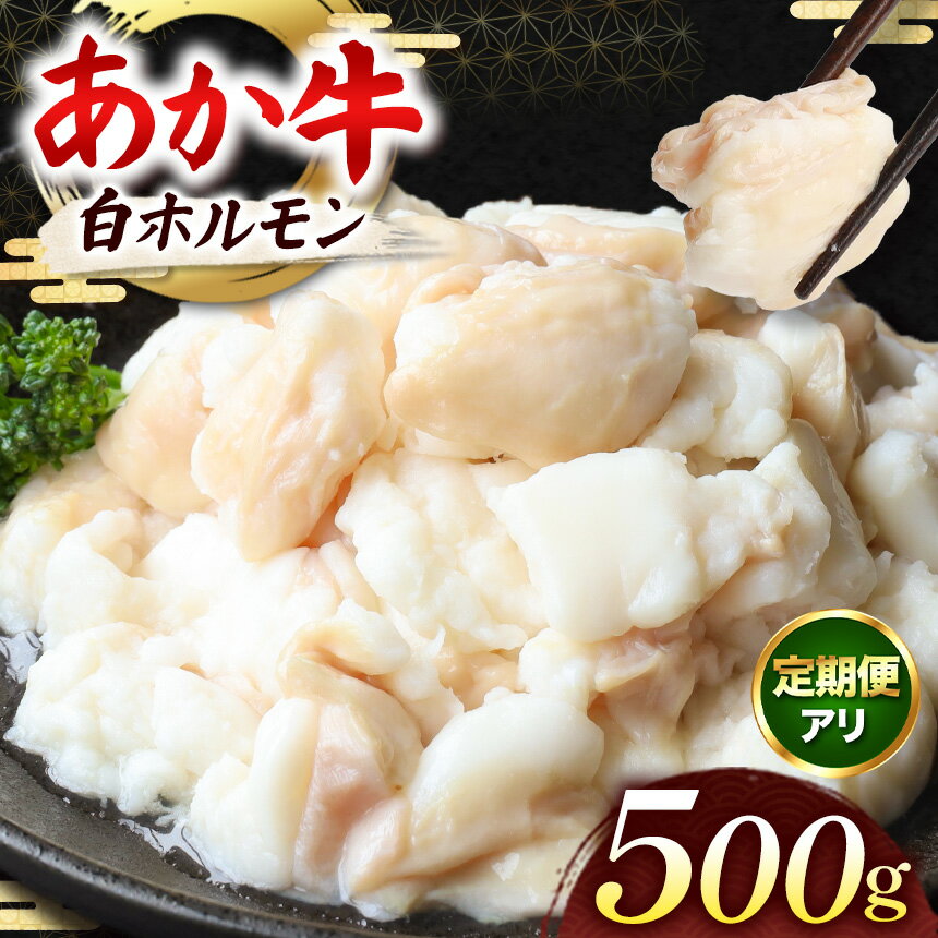 【ふるさと納税】あか牛 白 ホルモン 500g ( 250g×2パック ) 単品 定期便 | 馬肉 馬 肉 赤身 馬刺し う..