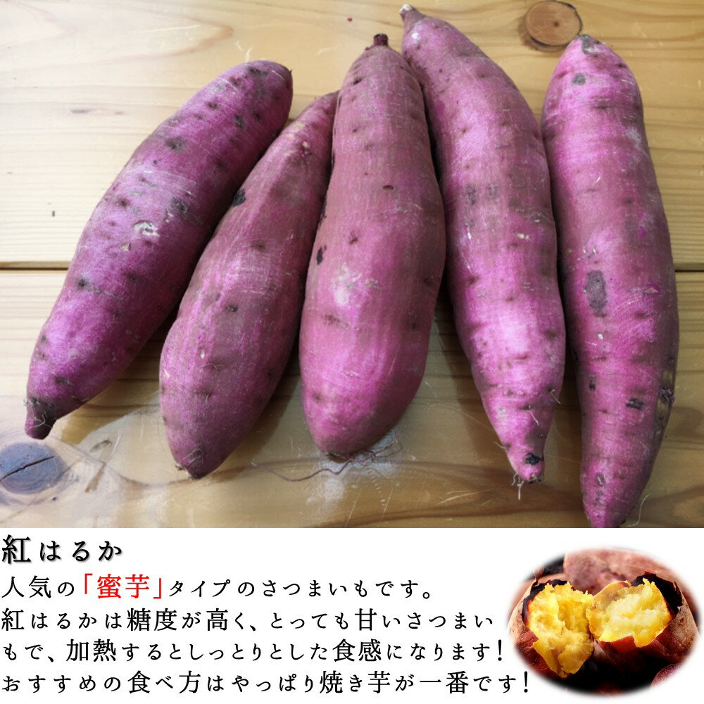 【ふるさと納税】 さつまいも ( 蜜芋 ) 約10kg（ 5kg × 2箱 ）予約受付 密芋 シルクスイート 紅はるか 野菜 大容量 国産 熊本県 和水町　訳あり くまもと県 甘藷 からいも サツマイモ かんしょ 芋 大小混合 サイズ混合 傷 スレ 食物繊維豊富