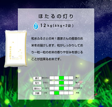 【ふるさと納税】無洗米「ほたるの灯り」12kg 米 ほたるの灯り 大容量 国産 熊本県 和水町