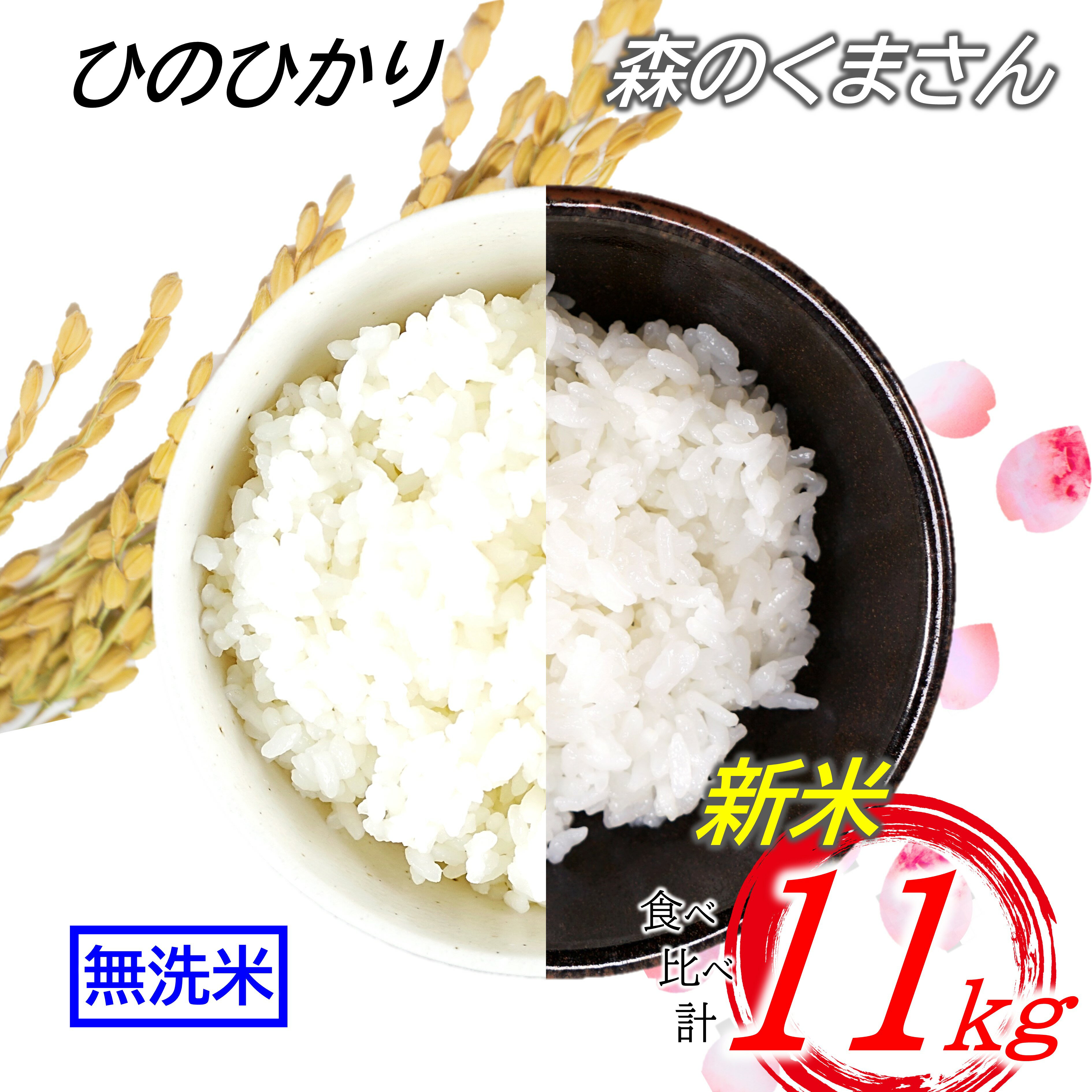 【ふるさと納税】 無洗米 2品 食べ比べ 菊池川流域の米 11kg