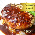 【ふるさと納税】黒いダイヤモンド「六白黒豚」ハンバーグ (約125g)×5個 肉 豚肉 六白黒豚 黒豚 ハンバーグ 小分け 国産 熊本県 和水町