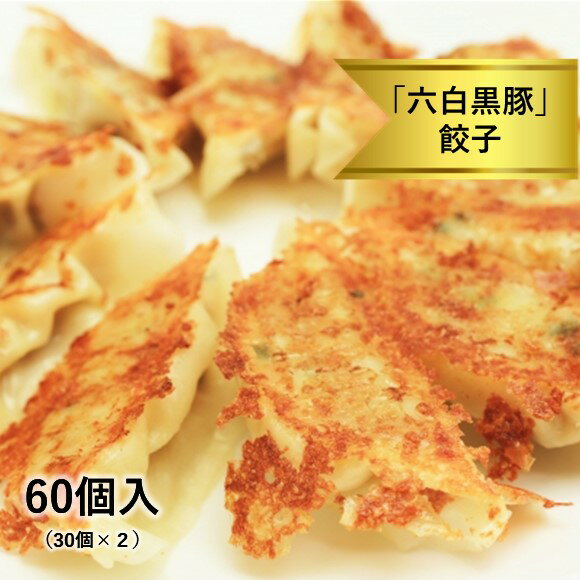 黒いダイヤモンド「六白黒豚」餃子(30個×2パック)60個 大容量 小分け 肉 豚肉 六白黒豚 黒豚 加工品 国産 熊本県 和水町