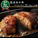 【ふるさと納税】肥後の赤牛ハンバーグ　150g×10　定期便6回 G-39