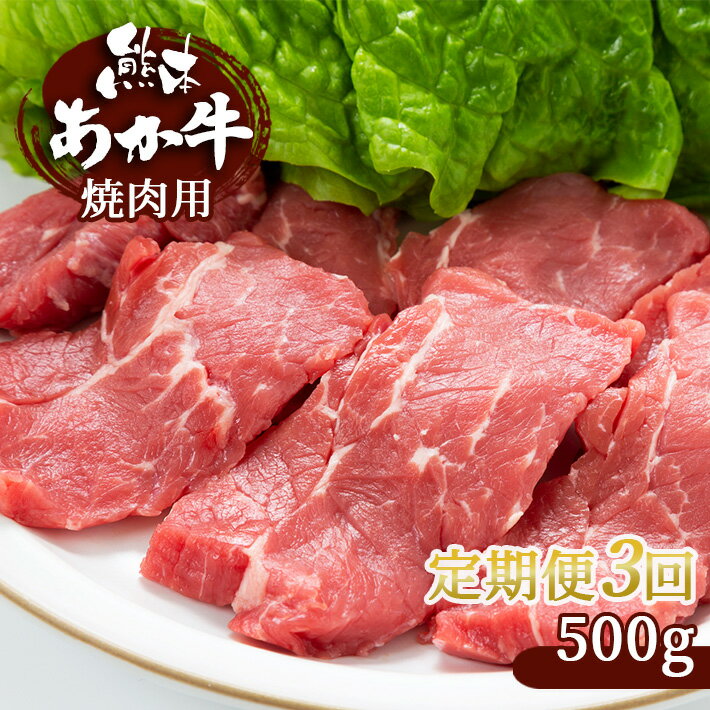 [定期便3回] 肥後の赤牛 焼肉用 500g