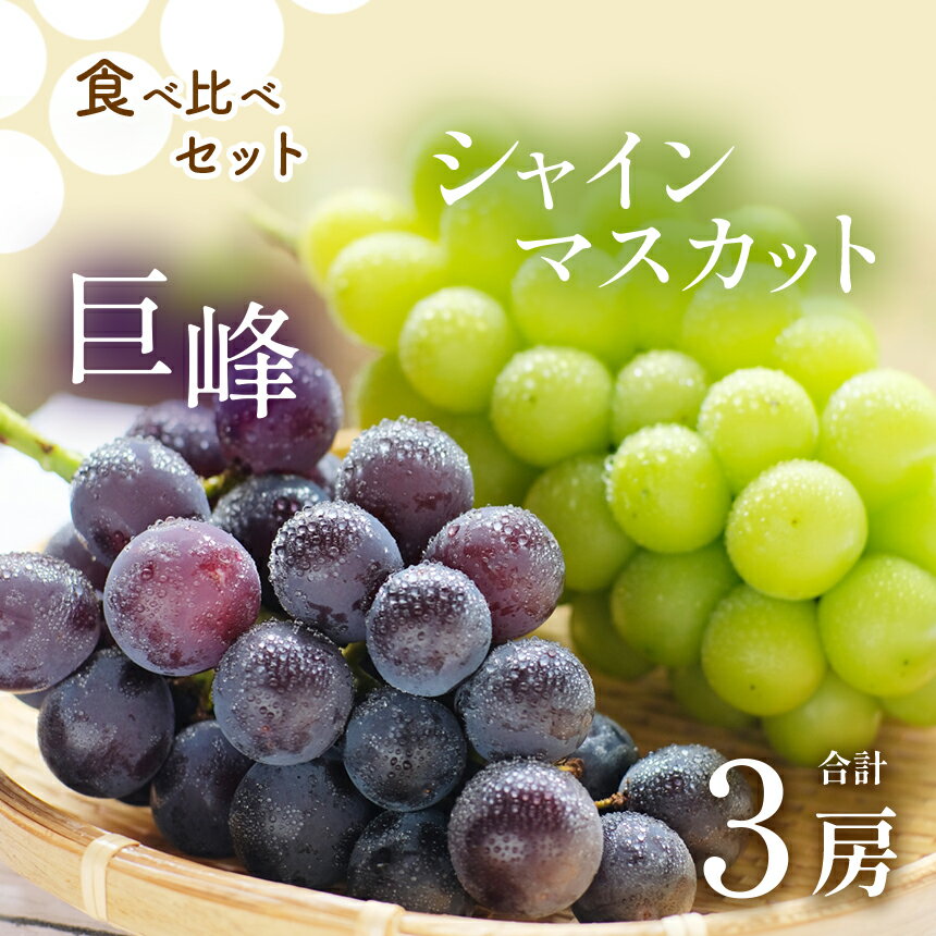 7位! 口コミ数「6件」評価「4.17」熊本県 なごみ町 シャインマスカット & 巨峰 食べ比べセット ＜9月上旬より順次発送＞ 3房 ぶどう マスカット 果物 フルーツ