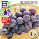 巨峰 ぶどう 熊本県 和水町産 巨峰ぶどう 4.5kg 果物 フルーツ 国産