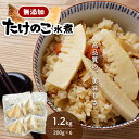 【ふるさと納税】無添加 高品質 水煮たけのこ 1.2kg 熊本県産 九州産 大容量 国産 たけのこ タケノコ 真空 小分け 送料無料