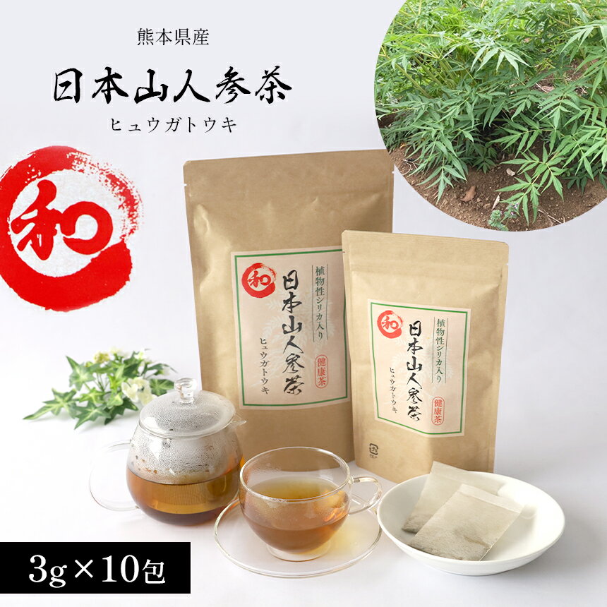 45位! 口コミ数「0件」評価「0」熊本県産 日本山人参茶 （ヒュウガトウキ） 10包 植物茶 茶 お茶 飲料 お歳暮 ギフト 国産 熊本県