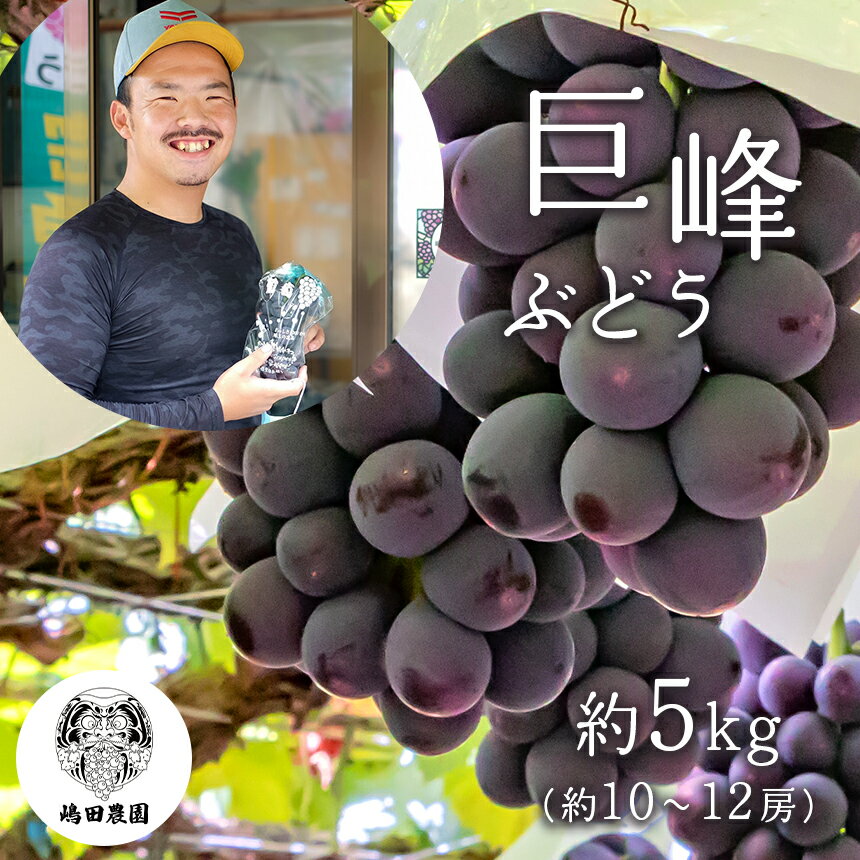 【ふるさと納税】巨峰 ぶどう 約5kg ぶどう 巨峰 果物 フルーツ 和水町のサムネイル