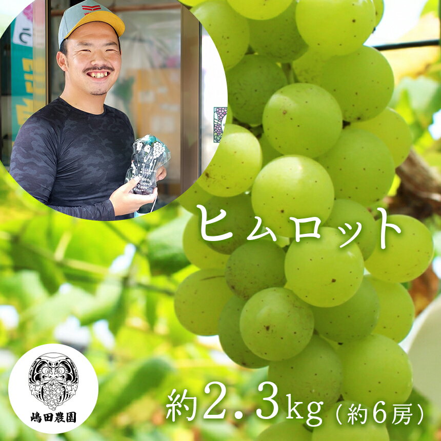 42位! 口コミ数「1件」評価「1」熊本県産ぶどう ヒムロット ＜7月下旬より順次発送予定＞ 和水町 ぶどう 果物 フルーツ ヒムロット 朝摘み 直送