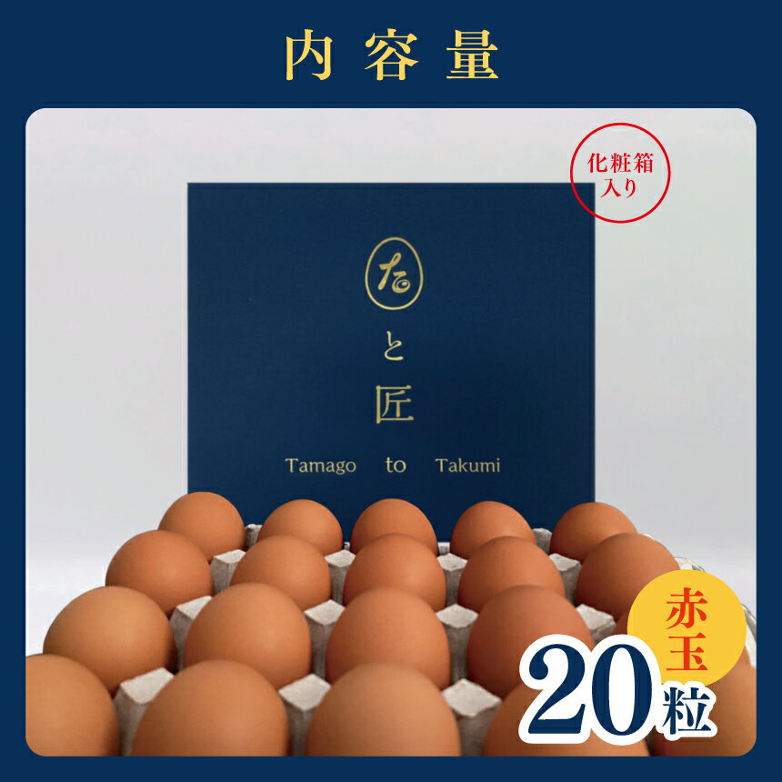 【ふるさと納税】 たまご 【たまごと匠】 赤玉 20粒 40粒（2箱） 贈答用 化粧箱