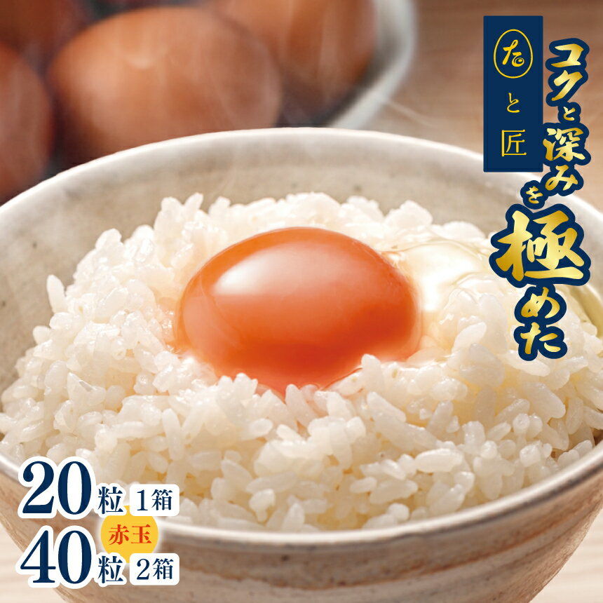 【ふるさと納税】 たまご 【たまごと匠】 赤玉 20粒 40粒(2箱) 贈答用 化粧箱