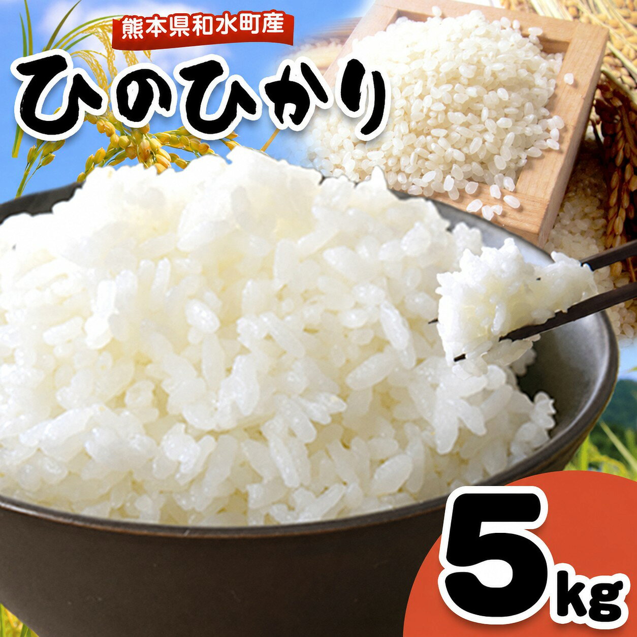 令和7年産 和水町産 ひのひかり 白米 5kg ｜ 国産 熊本県 和水町 ごはん 便利 米 フードロス くまもと お米 米 コメ こめ ヒノヒカリ