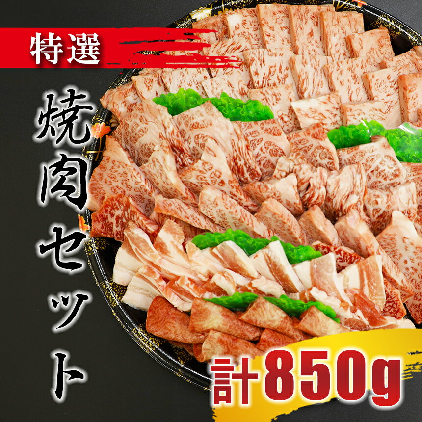 特選焼肉セット(牛肉:ロース 300g、牛肉:カルビ:300g、牛タン:100g 豚肉:150g)