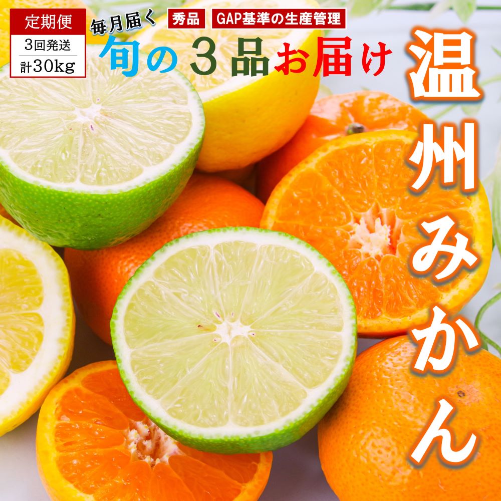 【ふるさと納税】くまもと柑橘　旬のみかんの定期便 10kg【