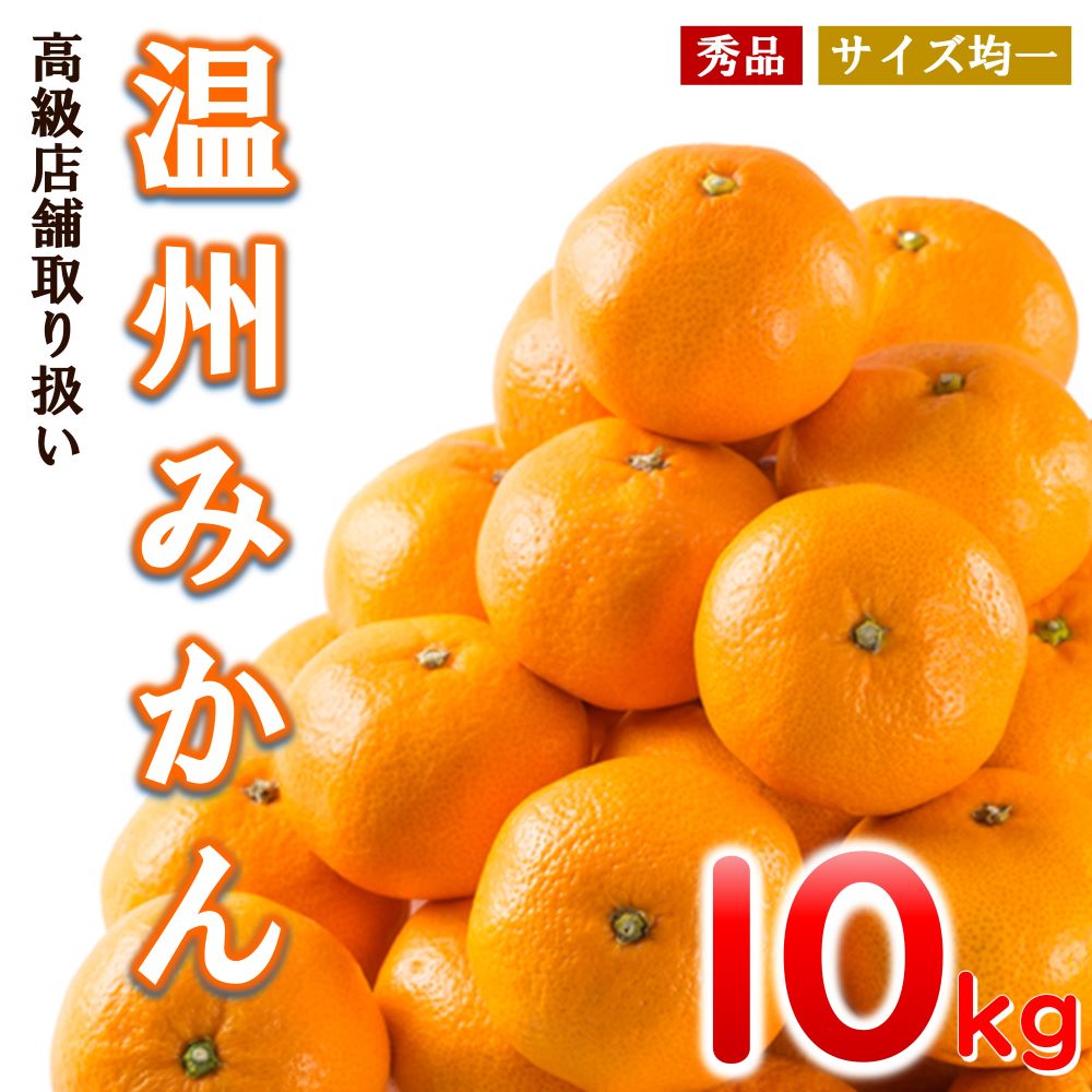 【ふるさと納税】温州みかん 和水町産 10kg みかん 柑橘