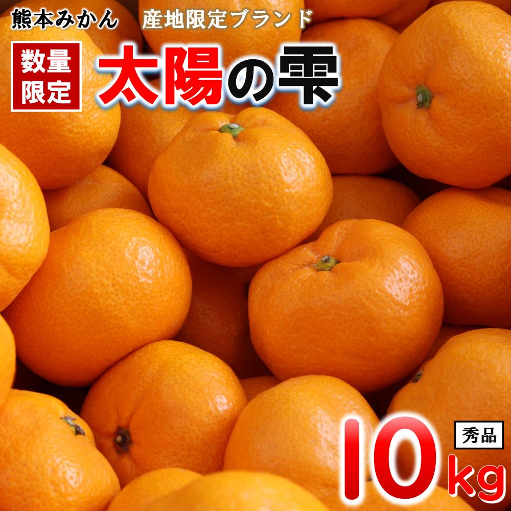 【ふるさと納税】みかん 太陽の雫（しずく）期間限定 10kg