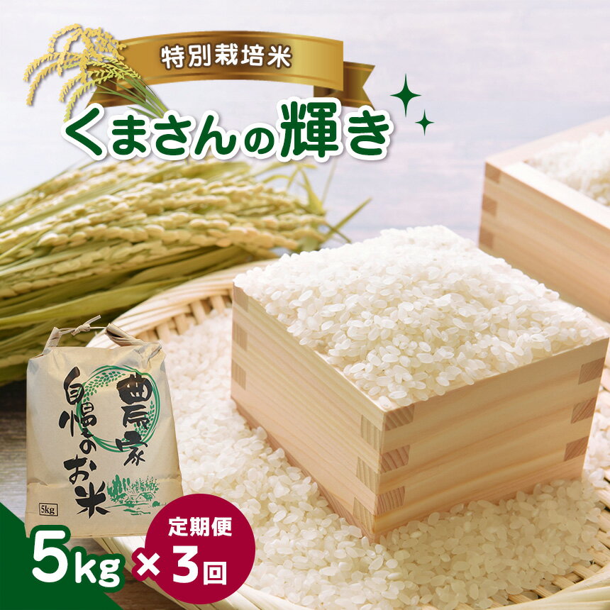 【ふるさと納税】 【定期便3回】 特別栽培米 くまさんの輝き 5kg 国産 熊本県 和水町 ごはん 便利 米 フードロス 送料無料 くまもとのサムネイル