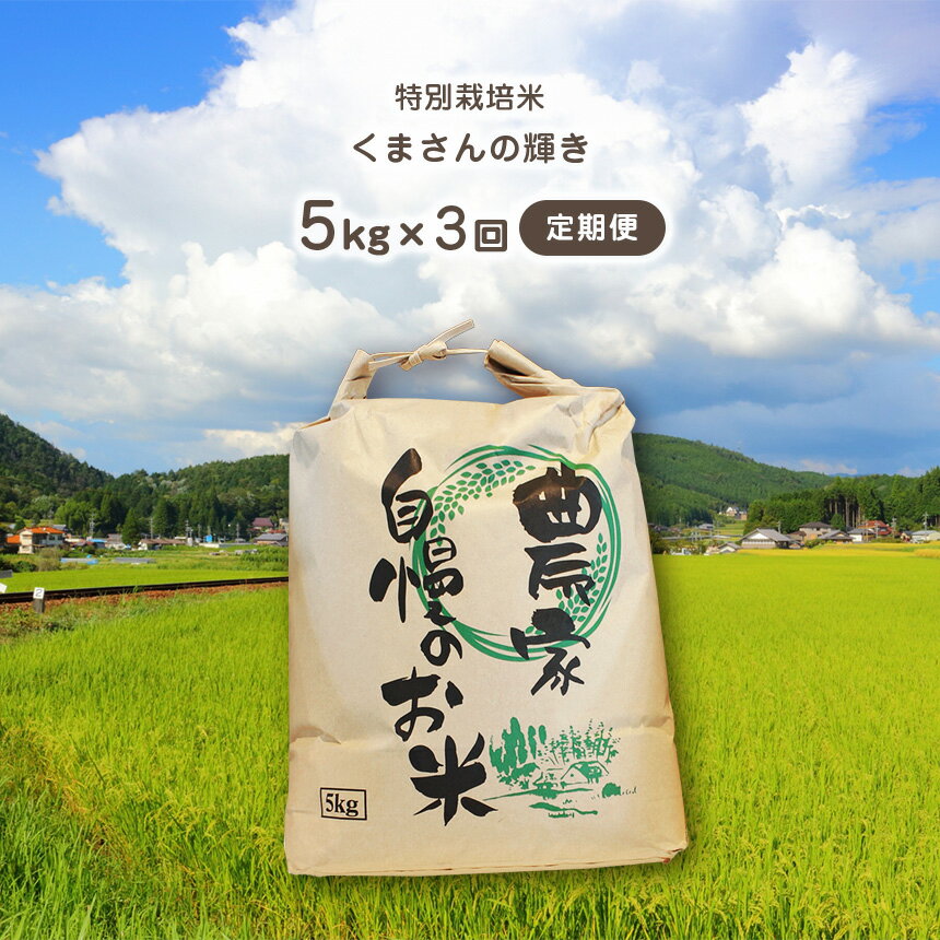 【ふるさと納税】 【定期便3回】 特別栽培米 くまさんの輝き 5kg 国産 熊本県 和水町 ごはん 便利 米 フードロス 送料無料 くまもと 2