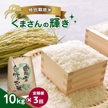 【定期便3回】 特別栽培米 くまさんの輝き 10kg 国産 熊本県 和水町 ごはん 便利 米 フードロス 送料無料 くまもと