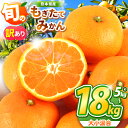 【ふるさと納税】【 先行予約 】 旬のもぎたてみかん 訳あり 大小混合 選べる 内容量 約 5kg 10kg 18kg 果物 旬 熊本県 なごみ町産 みかん 小さいサイズ 大きいサイズ ミカン 和水町 | 熊本 くまもと なごみ 訳あり キズ スレ 家庭用 大容量