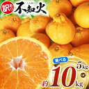 【ふるさと納税】【 先行予約 】 選べる内容量 【訳あり】 不知火 約 10kg or 5kg 池田ファーム | デコポン しらぬい フルーツ 和製 果物 熊本県産 熊本県 熊本 くまもと 和水町 なごみまち なごみ 柑橘類 果物 フルーツ