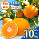 【ふるさと納税】【 先行予約 】 みかん 熊本県なごみ町産みかん 選べる内容量 約 5kg or 10kg | 熊本県 熊本 くまもと 和水町 なごみ ミカン 柑橘 果物 季節の果物 温州みかん