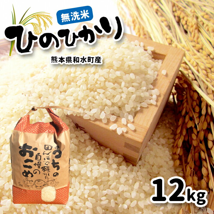 【ふるさと納税】 令和4年産 熊本県和水町のお米 無洗米 ヒノヒカリ 12kgのサムネイル