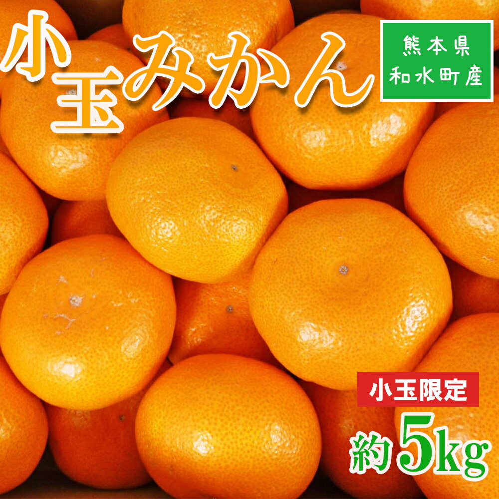 小玉みかん 果物 熊本県なごみ町産 みかん 5kg プチみかん 小さいサイズ ミカン