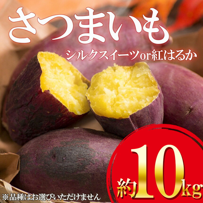 高級品 さつまいも 種子島産 安納芋 110g お試しパック 自然の甘みが大人気のサツマイモ www.gaviao.ba.gov.br 高級品 さつまいも 種子島産 安納芋 110g お試しパック 自然の甘みが大人気のサツマイモ www.gaviao.ba.gov.br