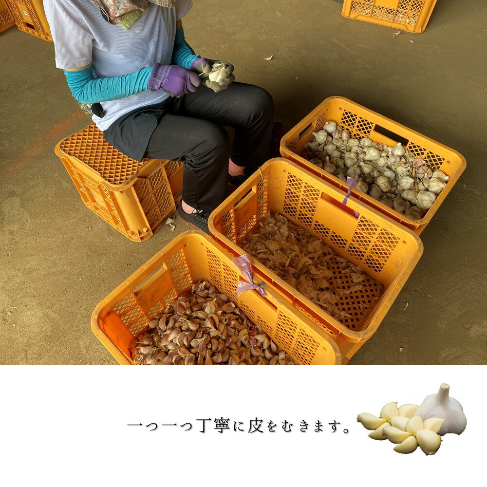 明日葉無添加100%パウダー10g 【量り売り】 明日葉茶 粉末 サプリ サプリメント 国産 八丈島 あしたば茶 アシタバ 青汁 粉末茶 無添加 カルコン ポイント消化【10P05Nov16】