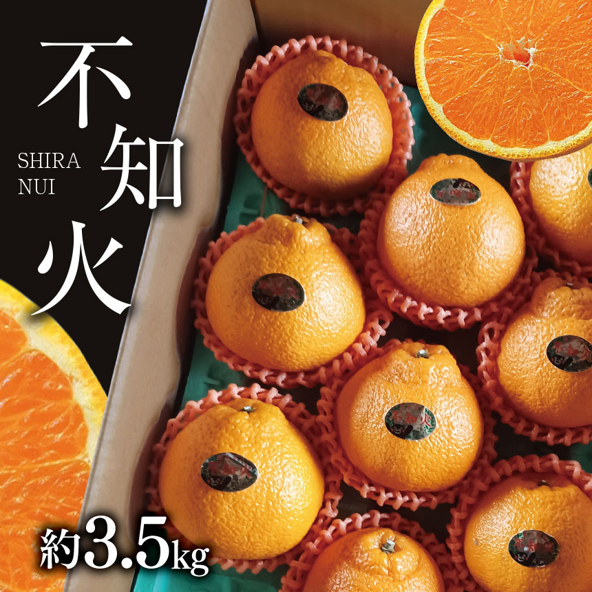 不知火 約3.5kg しらぬい みかん 柑橘 L 2L 3L