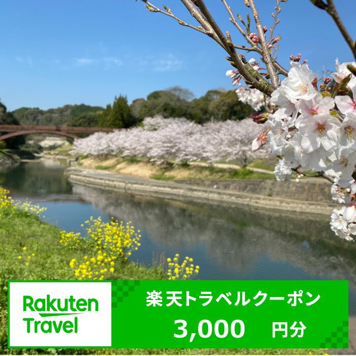 【ふるさと納税】熊本県和水町の対象施設で使える楽天トラベルクーポン 寄附額10,000円