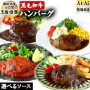 6位! 口コミ数「0件」評価「0」厳選 くまもと 黒毛和牛 ハンバーグ 3種食べ比べセット 《30日以内に出荷予定(土日祝除く)》選べる 3種類のソース デミグラス トマト ･･･ 