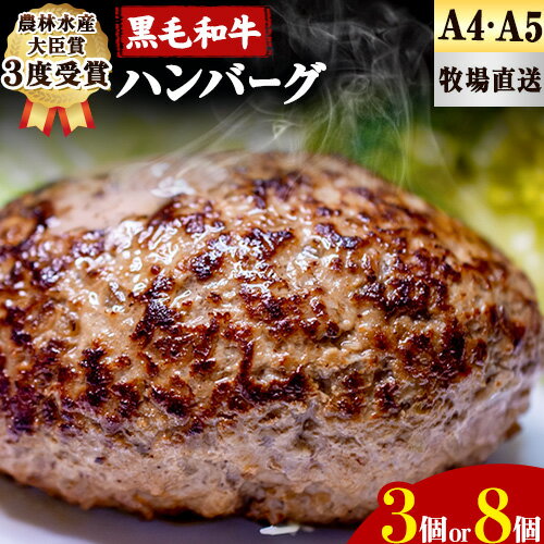 厳選くまもと黒毛和牛ハンバーグ 選べる個数 3個 または 8個 (1個150g)[30日以内に出荷予定(土日祝除く)]熊本県 大津町 和牛焼肉LIEBE くまもと黒毛和牛 ハンバーグ 冷凍 リーベ