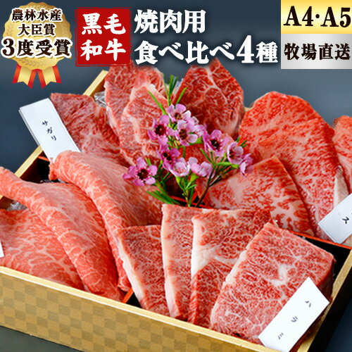 厳選 くまもと黒毛和牛 焼肉用食べ比べ4種 500g[30日以内に出荷予定(土日祝除く)]熊本県 大津町 和牛焼肉LIEBE くまもと黒毛和牛 厳選部位 上ロース ハラミ サガリ シンシン 冷蔵 リーベ