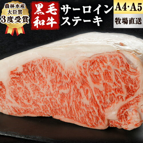 A5 A4 ランク 厳選 くまもと黒毛和牛 サーロインステーキ 1枚(約250g)[30日以内に出荷予定(土日祝除く)] 熊本県 大津町 和牛焼肉LIEBE サーロイン ステーキ 冷蔵 リーベ