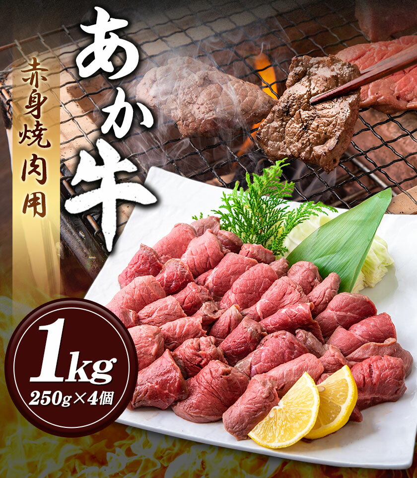 【ふるさと納税】あか牛 赤身焼肉用 1kg (250g×4個) 有限会社幸路《60日以内に出荷予定(土日祝を除く)》あか牛 あかうし 赤牛 焼肉 冷凍 小分けパック