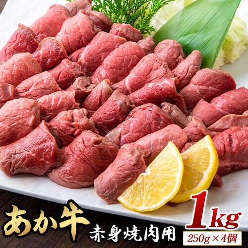 【ふるさと納税】あか牛 赤身焼肉用 1kg (250g×4個) 有限会社幸路《60日以内に出荷予定(土日祝を除く)》あか牛 あかうし 赤牛 焼肉 冷凍 小分けパック