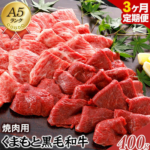 【ふるさと納税】【3ヶ月定期便】【A5ランク】牛肉 くまもと黒毛和牛 焼肉用 400g 株式会社KAM Brewing《お申込み月の翌月から出荷開始》定期 計3回お届け 熊本県 大津町 送料無料 牛肉 肉 定期便のサムネイル