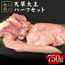 【ふるさと納税】天草大王　ハーフセット 約750g【幻の地鶏