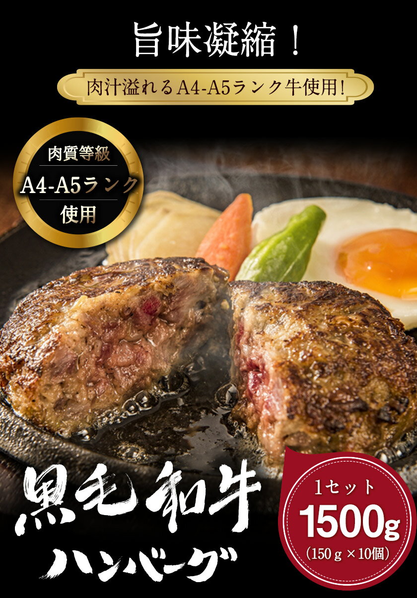 【ふるさと納税】黒毛和牛ハンバーグ150g×10個 絶品 ブランド牛 黒毛和種 有限会社トップルーフ《60日以内に出荷予定(土日祝除く)》