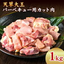 【ふるさと納税】天草大王 バーベキュー用カット肉 熊本県産 【幻の地鶏】あそ大王ファーム株式会社 《60日以内に出荷予定(土日祝除く)》
